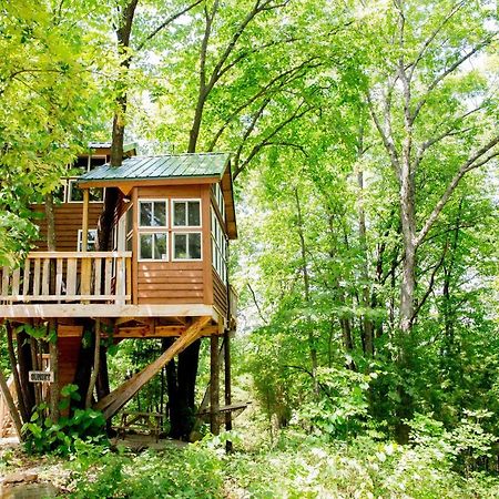 The Cottage Treehouses เฮอร์มานน์ ภายนอก รูปภาพ